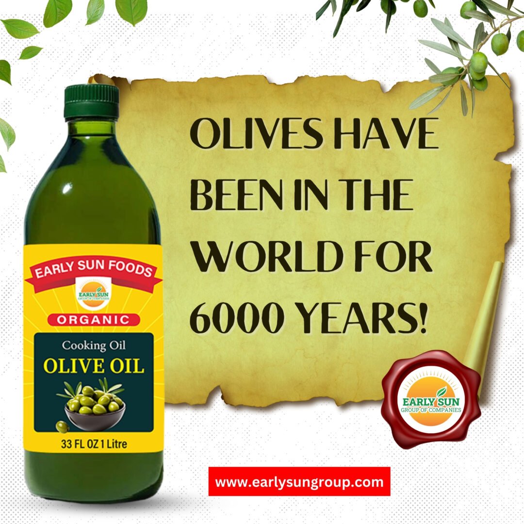 Olive Oil - زیتون کا تیل - Image 3