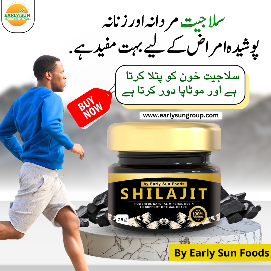 Shilajit - شلاجیت